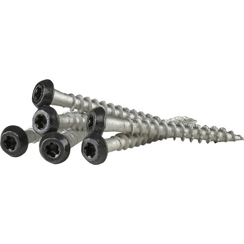 Ankarskruv FAST ZF Lackerad C4 Torx